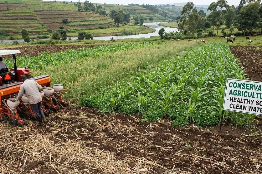Terraced farmland with a conservation agriculture sign beside a planted field, illustrative image