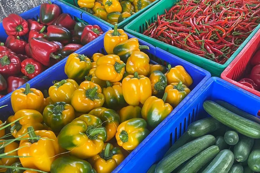 Crates of fresh peppers, cucumbers and chillies, illustrative image